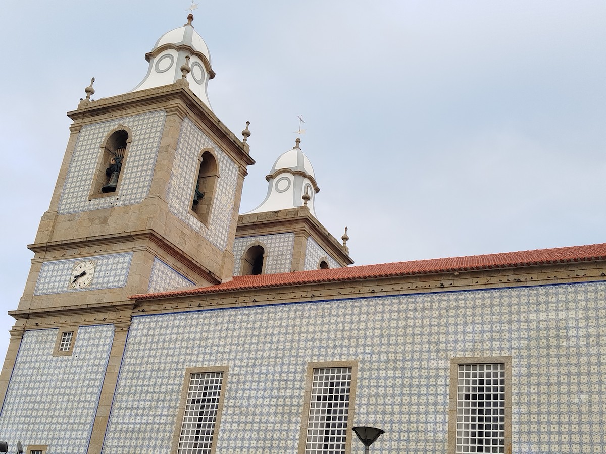 Eurasian Crag-Martin - ML645450134