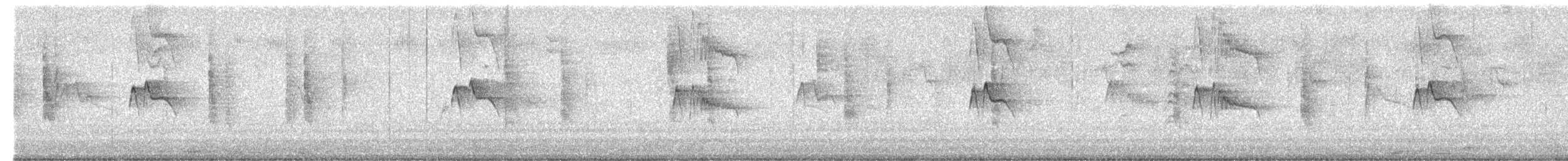 Black Phoebe - ML645450575