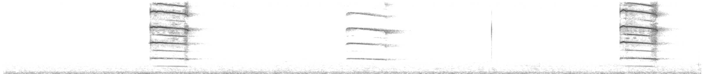 Long-eared Owl (Eurasian) - ML645450860