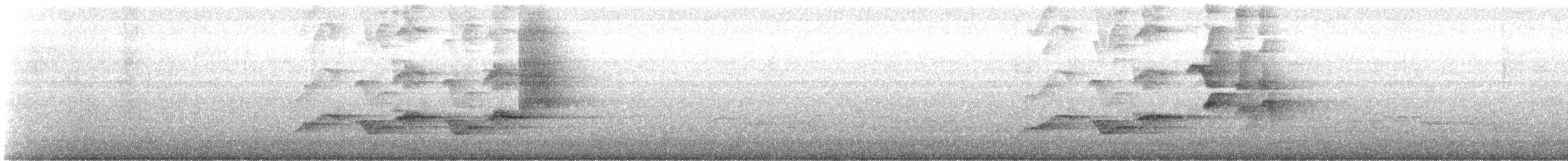 Chiguanco Thrush - ML645451333