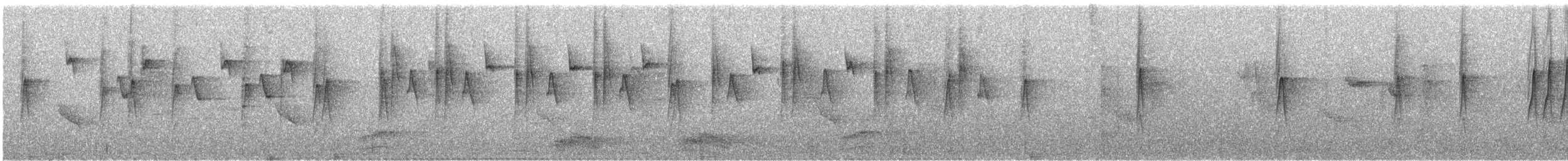 Thick-billed Flowerpecker - ML645451335