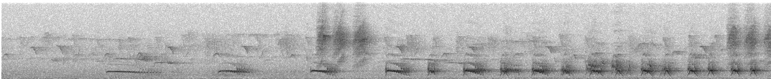 Jungle Owlet - ML645451339