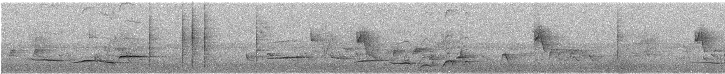 White-rumped Shama - ML645451351