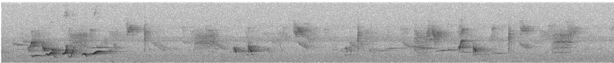 White-rumped Shama - ML645451352