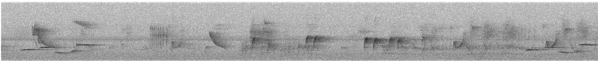 White-rumped Shama - ML645451353