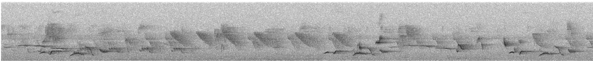 White-rumped Shama - ML645451354