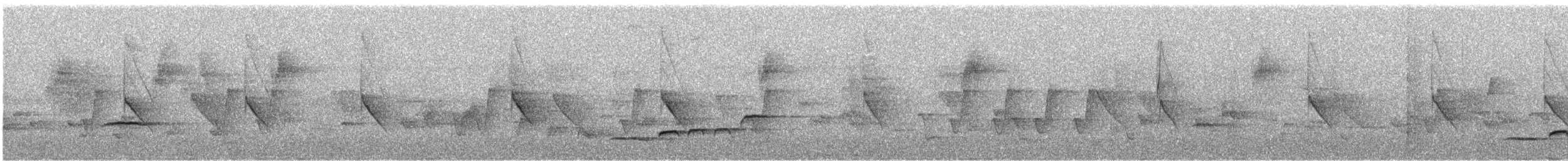 White-rumped Shama - ML645451355