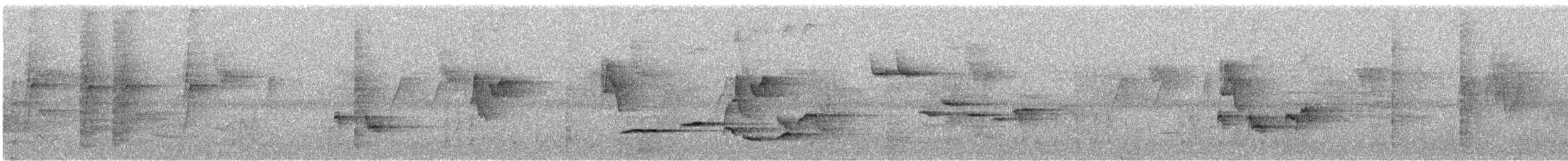 White-rumped Shama - ML645451356