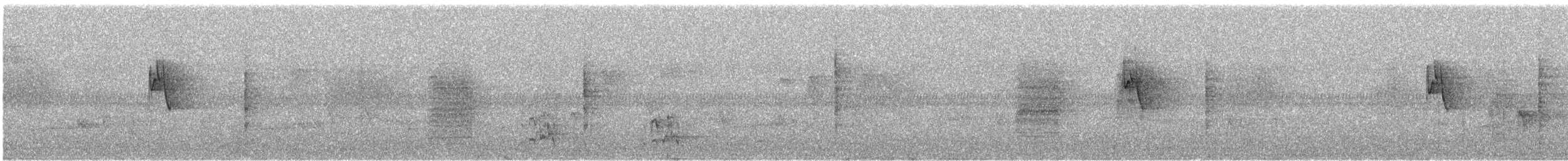 budníček zelený - ML645451375