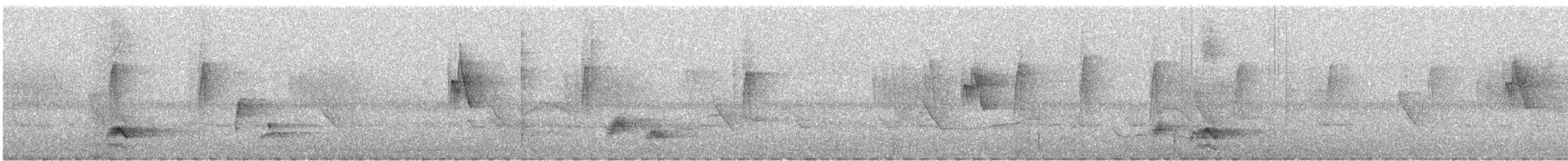 žluva černokápá - ML645451391