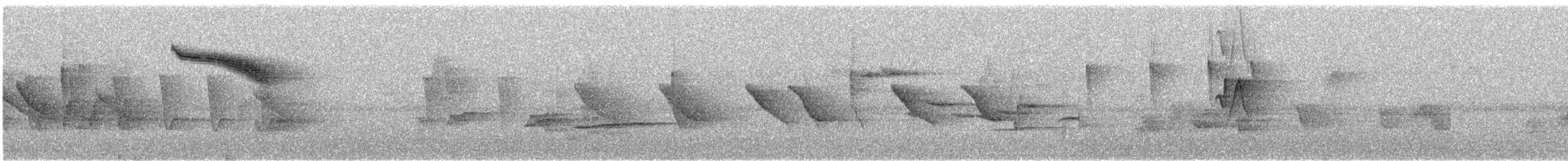 budníček altajský - ML645451421