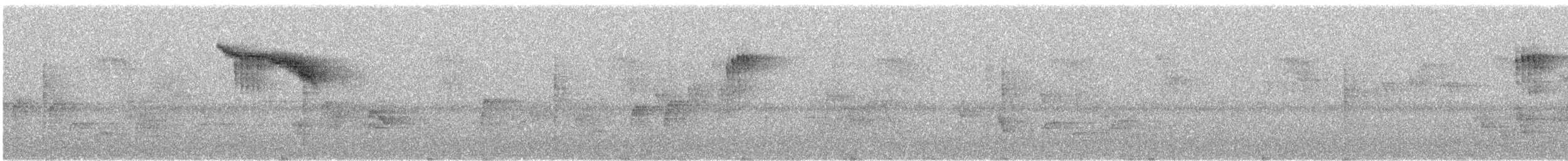 budníček altajský - ML645451424