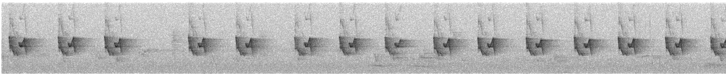 budníček altajský - ML645451425