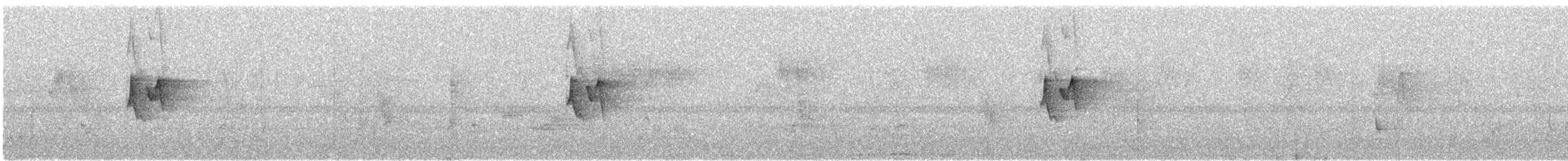 budníček altajský - ML645451426