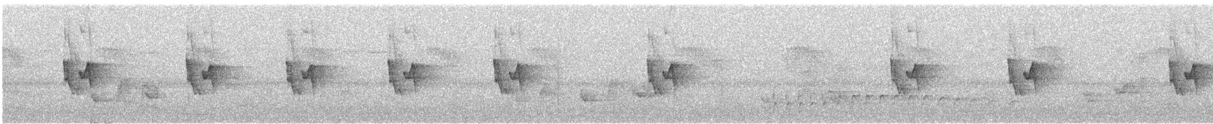 budníček altajský - ML645451427