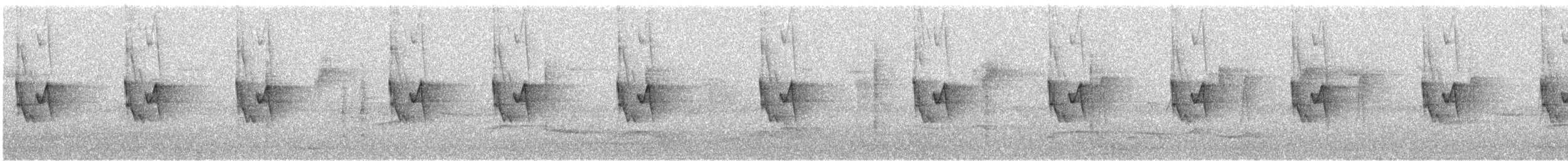 budníček altajský - ML645451428