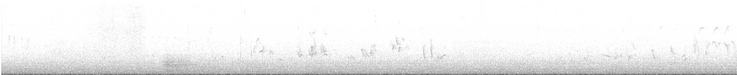 Townsend's Solitaire - ML645451558