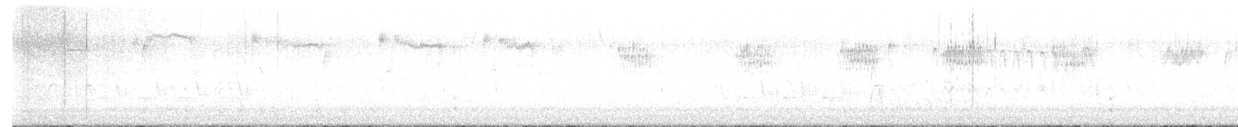 Поплітник каролінський - ML645452359