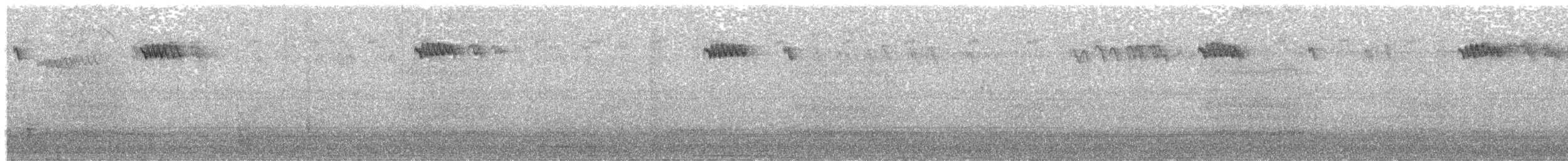 Brown Creeper - ML645453072