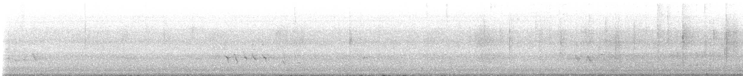 American Robin - ML645453427