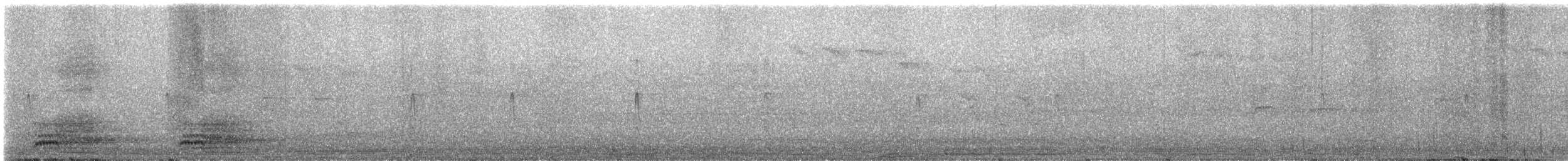 Hooded Crow - ML645453971