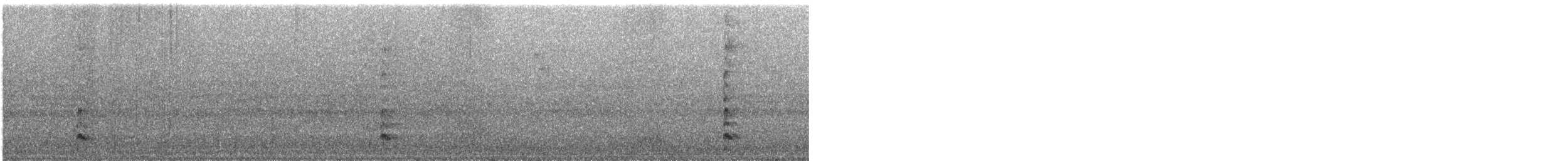 白冠雞 - ML645454337