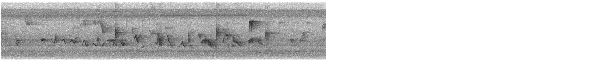 House Finch - ML645454433