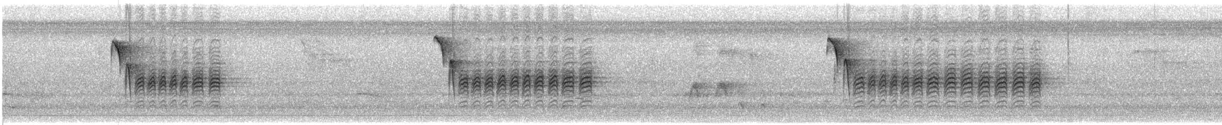 Каролинская гаичка - ML645454504