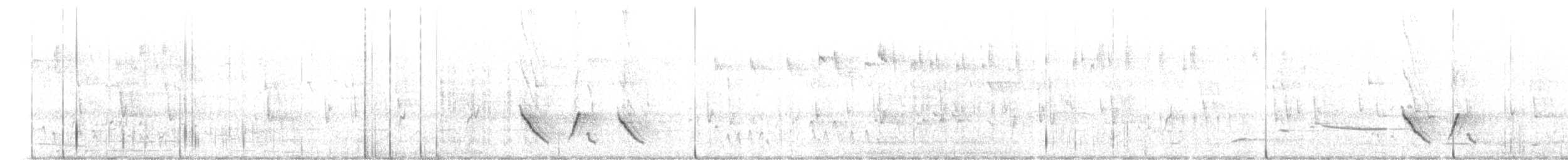 White-plumed Honeyeater - ML645455436