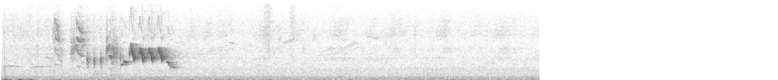 Southern House Wren - ML645455683