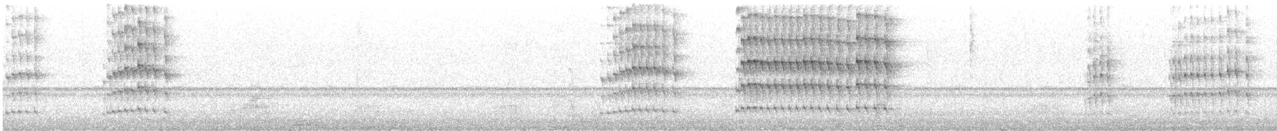 Guira Cuckoo - ML645456384