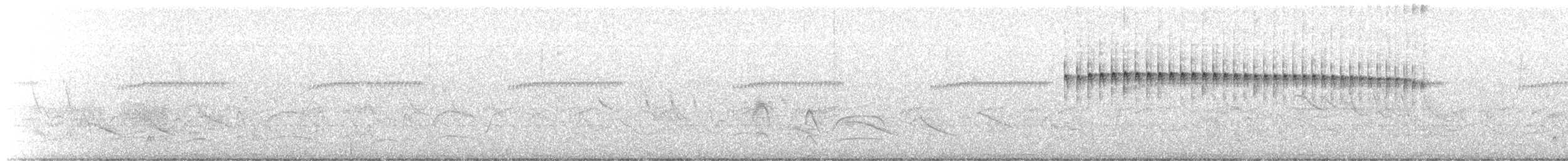 White-wedged Piculet - ML645456666