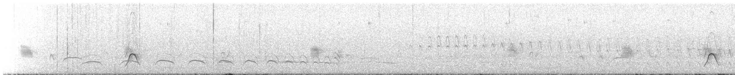 Lesser Elaenia - ML645456681