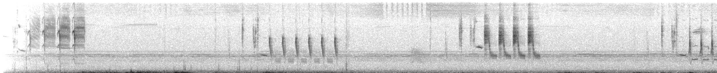 Grass Wren - ML645456687