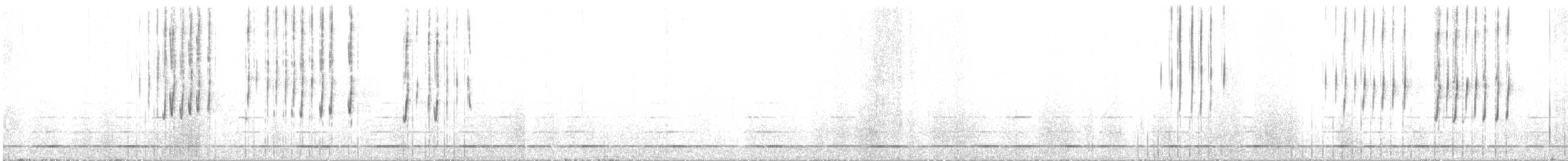 Northern Saw-whet Owl - ML645457613