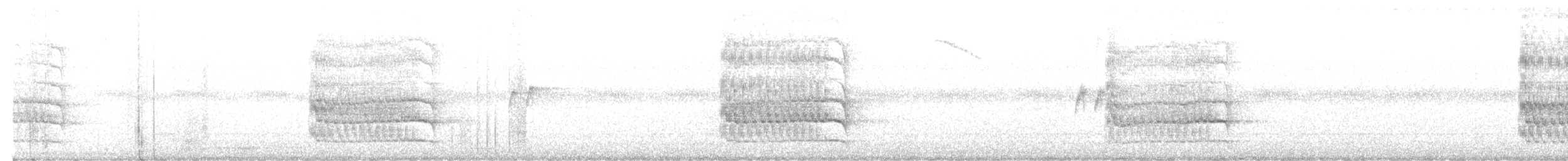 Pabuç Gagalı Tiran - ML645457761