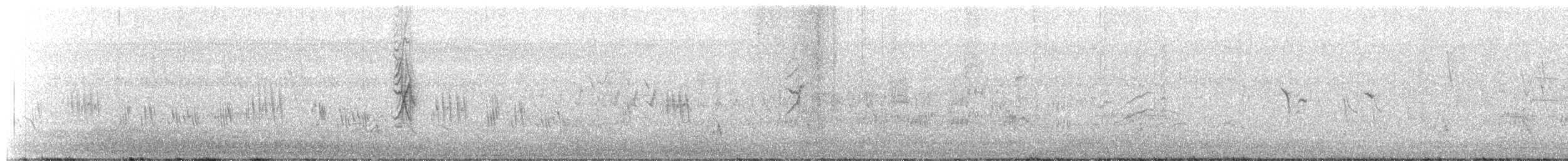 Kızıl Karınlı Tohumcul - ML645458384