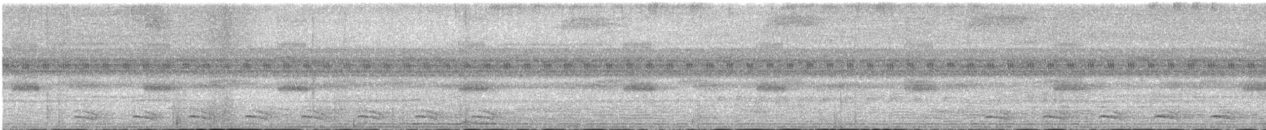 Ak Omuzlu Karıncaavcısı - ML645458786