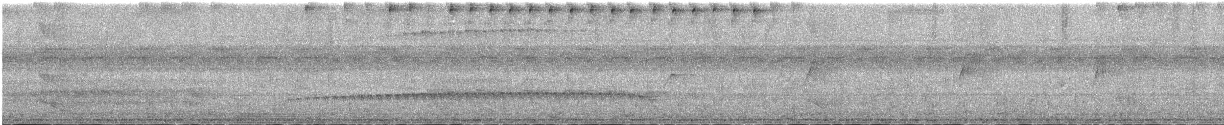 Humaita Karıncakuşu - ML645458909