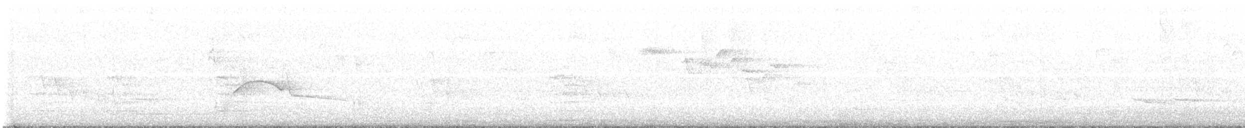 Doğulu Pivi - ML645459022