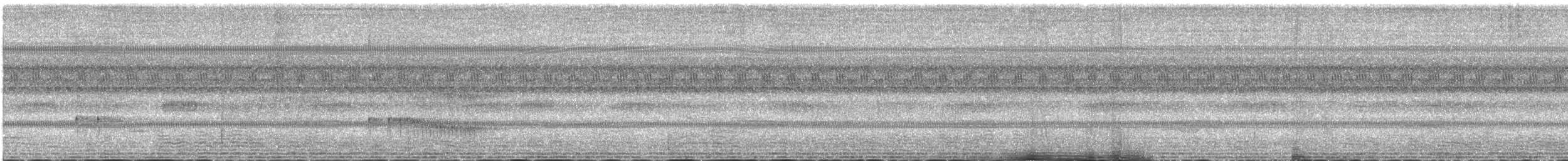 Snethlage Todi Tiranı - ML645459426