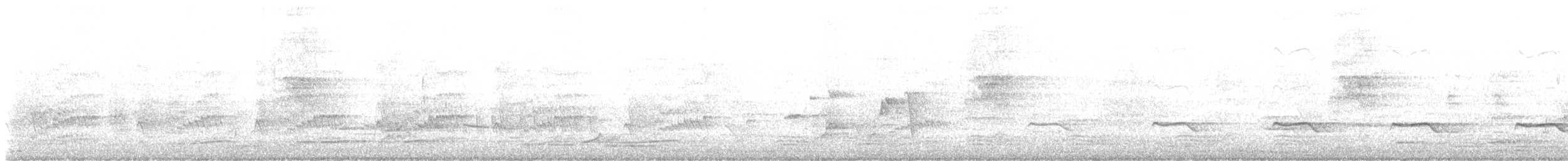 Sahul Çalı Guguğu - ML645459544