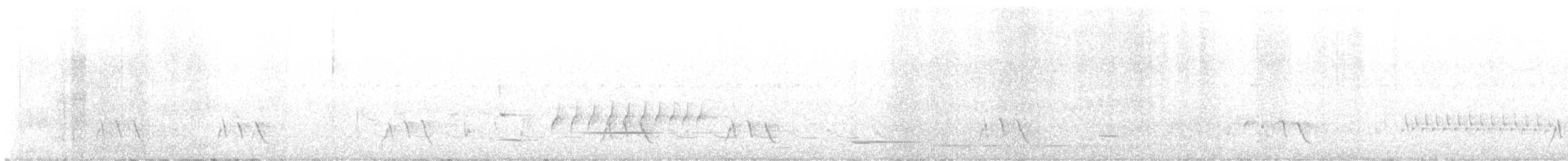 Діамантниця велика - ML645461279