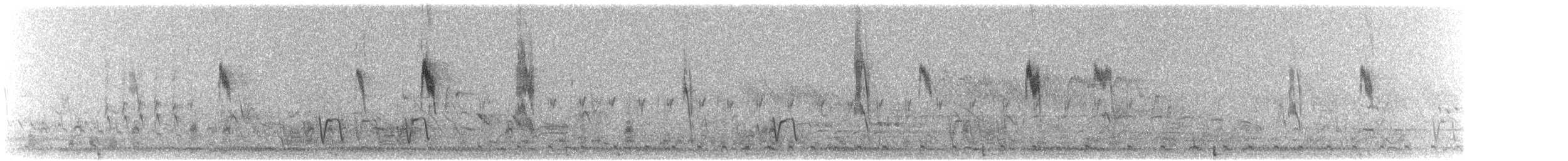 skjeggvever - ML645461830