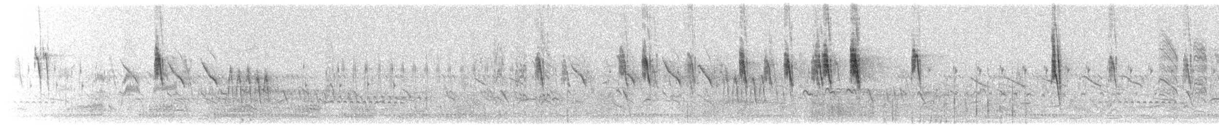 skjeggvever - ML645461831