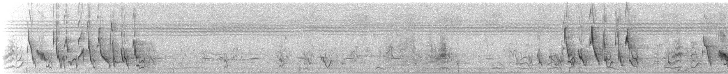 hvitbrynvever - ML645461921