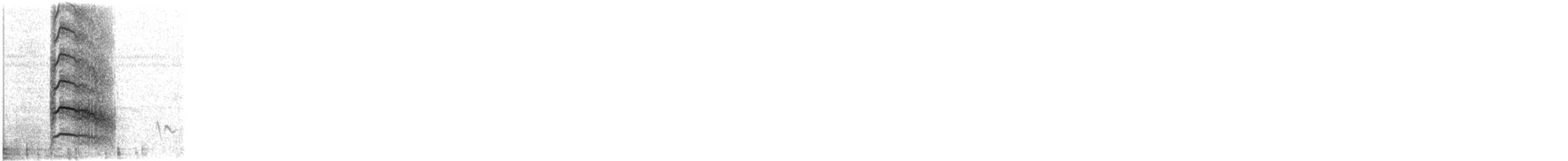 svartvingeglente - ML645461937