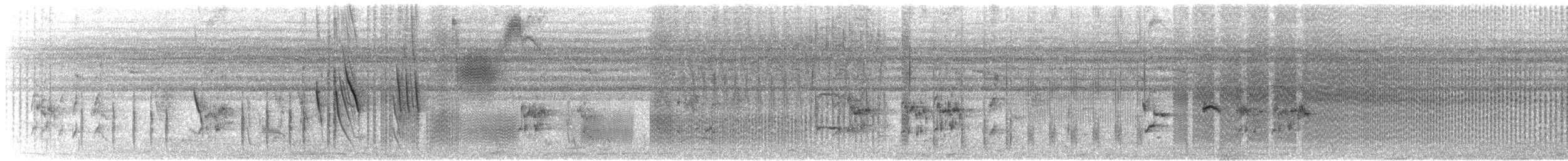 svartmaskevever - ML645462147