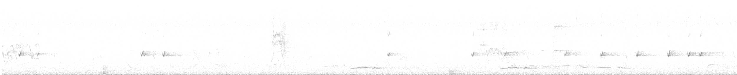 hvitstrupehonningeter - ML645462262