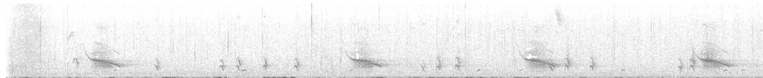 Turquoise Jay - ML645462289